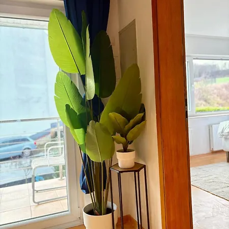 Appartement Townhaus Mariaroth Dieblich