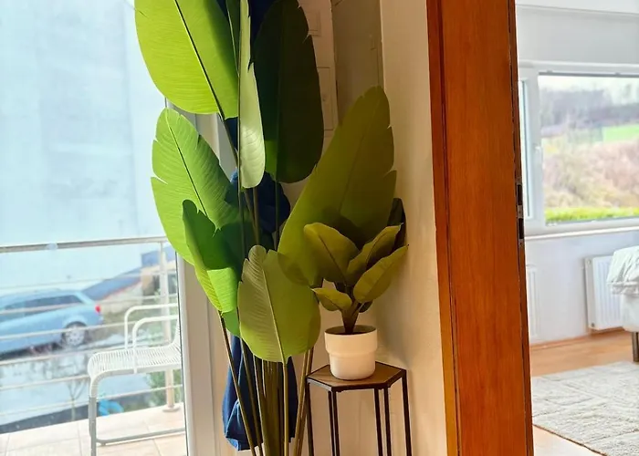 Apartment Townhaus Mariaroth Dieblich